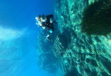 ABC Dive Club购物图片