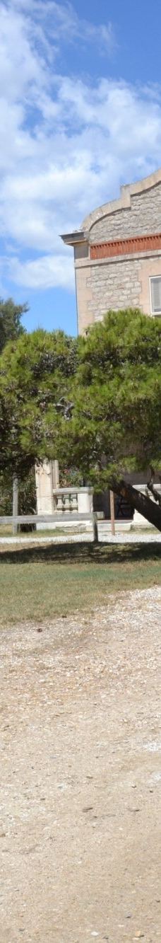 Domaine de la Palissade-阿尔勒