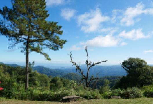 Kew Fin Viewpoint景点图片
