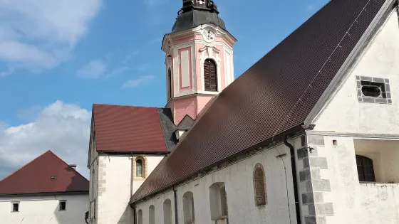 Abbey Sticna