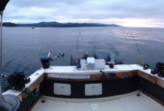 Sea Leggs Fishing Adventures景点图片