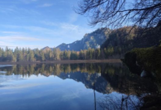 Schwansee景点图片
