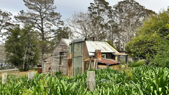 Davidson Whaling Station