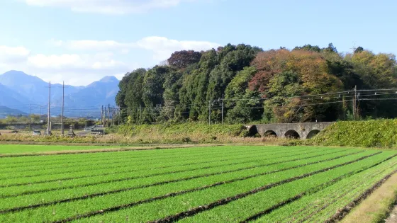 Megane Bridge