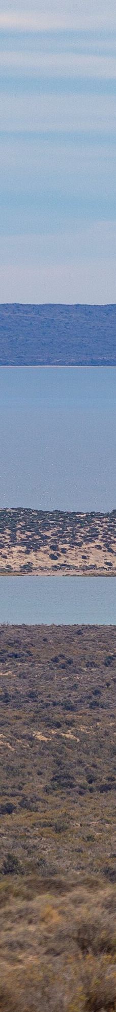 Reserva Natural Isla de los Pajaros-别德马