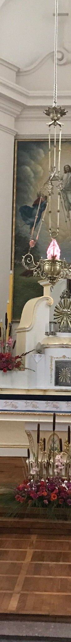 Catholic Cathedral of the Transfiguration-新格鲁多克