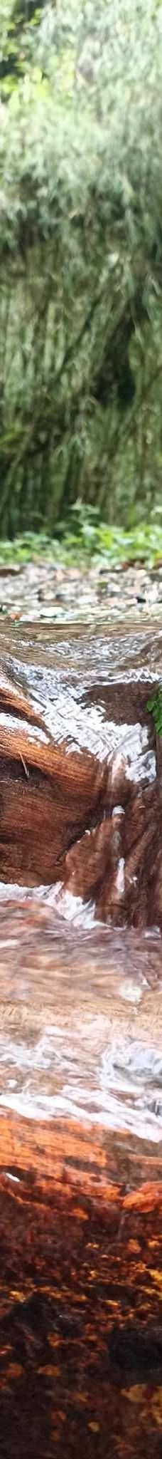 Annapurna Base Camp-卡斯基