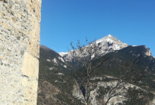 Torre Delfinale景点图片