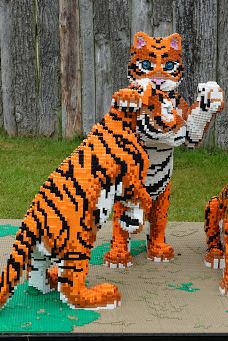 Twycross Zoo-阿瑟斯通