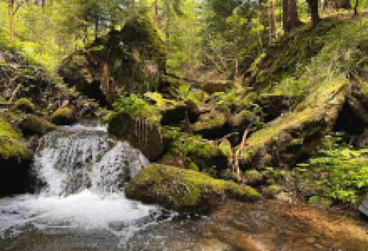 Peklovisko景点图片