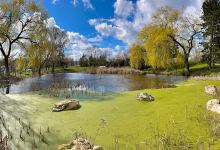 Park Mauritius Leluc景点图片