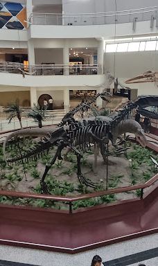 MTA Genel Müdürlüğü Şehit Cuma Dağ Tabiat Tarihi Müzesi-安卡拉