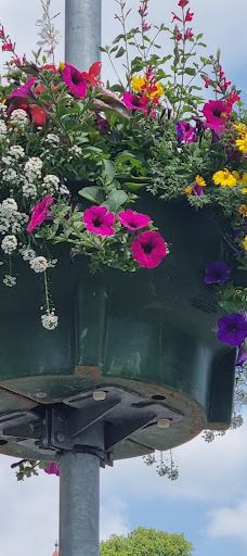 Neckarinsel-蒂宾根