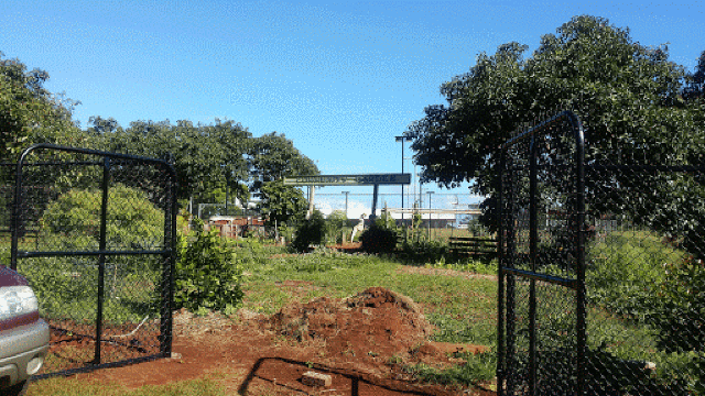 Russell Island Community Garden景点图片