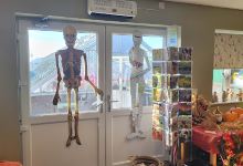 Cochranes Nurseries购物图片