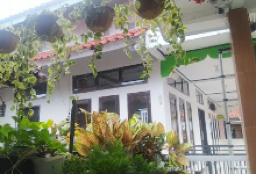 MASJID JAMI AT TAUFIQ景点图片