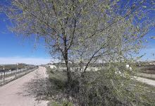 Via Verde del Tren de los 40 Dias景点图片