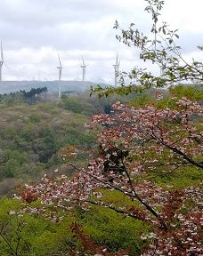 Hamadate Park-由利本庄市