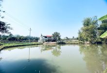 Trang trại (Farm) Lò Ngọc Quý景点图片