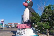 Cut Bank Penguin景点图片