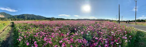 肝付町立 歴史民俗資料館