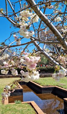 约翰内斯堡植物园-兰德堡