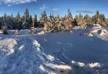Arbutus Grove Provincial Park景点图片