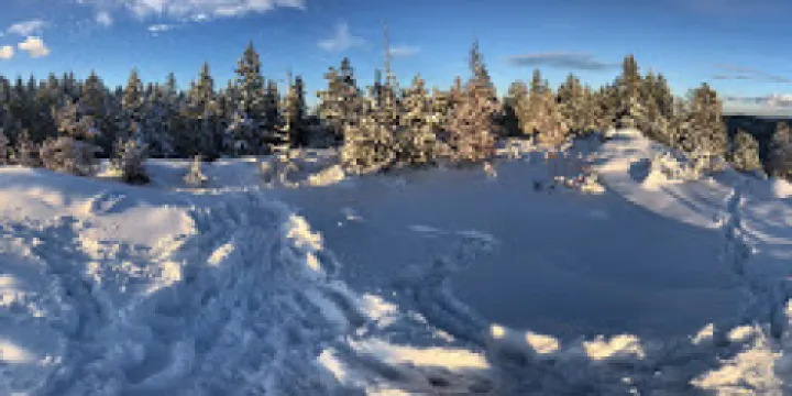 Arbutus Grove Provincial Park