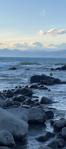 Walichu tip (Cuevas Gualicho)-阿根廷湖县