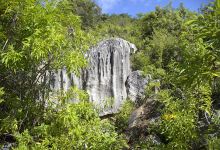 Bosque Rocoso de Piedra景点图片