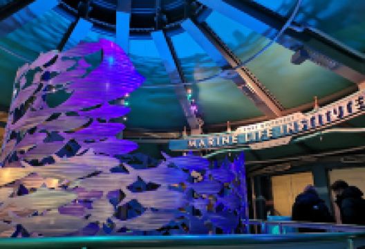 海底巡游艇：尼莫和好友的海底世界景点图片