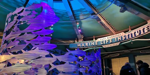 海底巡遊艇：尼莫＆好友的海洋世界