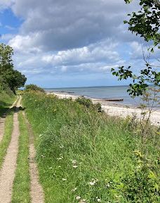 Åbent skovareal ved Nyborg-尼堡