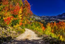 Alta-Brighton Trailhead景点图片