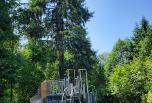 Nickel Creek Park Playground景点图片