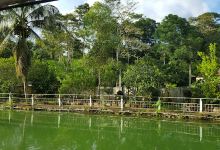 Agua Viva Eco-Life购物图片