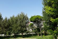 Şht. Pilot Ali Başmakçı Parkı景点图片