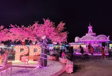 Pink Park景点图片