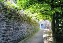 Weingut Vollenweider景点图片