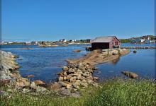Oliver's Cove Walking Trail景点图片