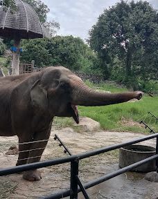 Seal and Penguin Park-宋卡