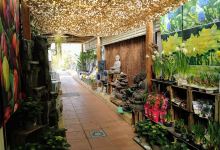 Garden Arenas购物图片