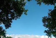 Lansing City Park景点图片