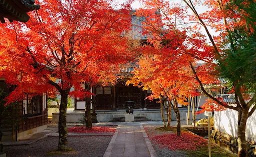 Kanyoji Temple