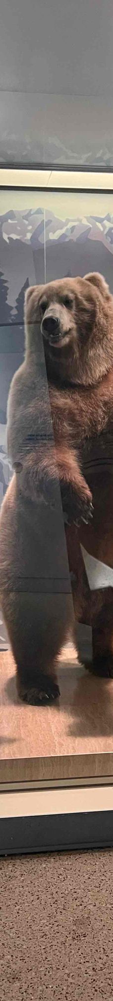 史密森博物馆-华盛顿-DCA