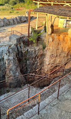 Jama - Grotta Baredine-Gedici