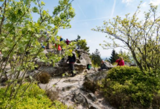 Lippische Velmerstot景点图片