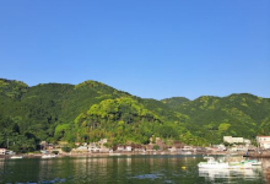 Marumatsu Diving Club购物图片