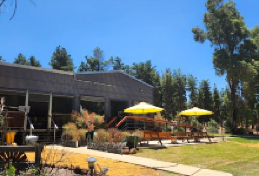 Little Eeden Farm Pine Camp景点图片