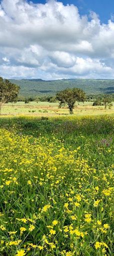 Baba Waterfalls-辛杜杜尔格县